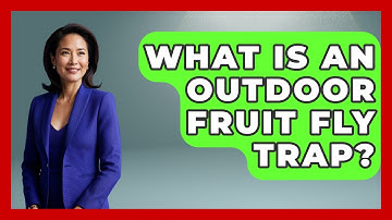 What Is An Outdoor Fruit Fly Trap? | Insects and Invaders