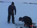 Giant Muskie ( Musky ) Ice Fishing Video