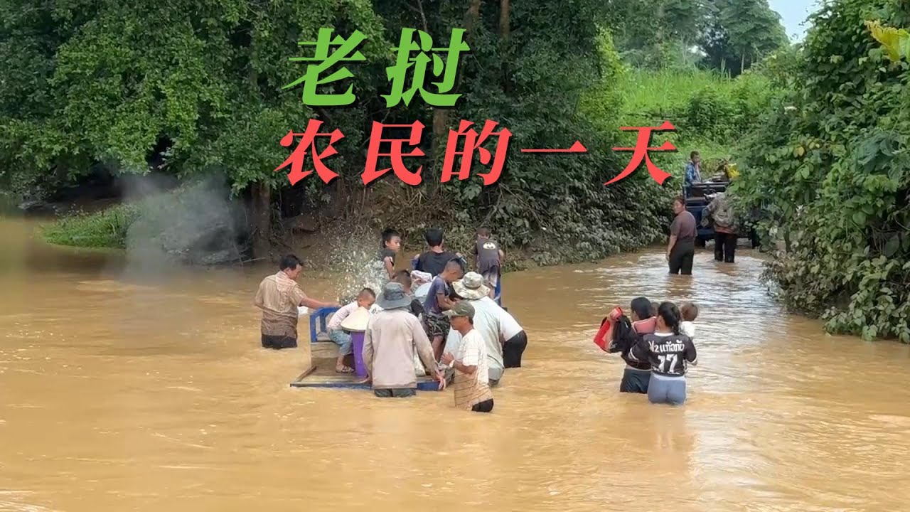 深入老挝农村,和当地人一起吃住,亲身体验寮国农民真实生活。 - YouTube