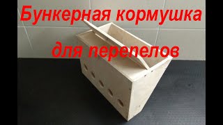 Лучшая бункерная кормушка для перепелов без потери корма.