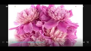 Jul Nova - Kisah paljalanan baran