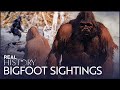 Bigfoot how willow creek became tormented by bigfoot sightings  boogeymen  real history