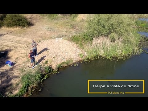 Carpa a vista de drone | Pesca | DJI Mavic Pro
