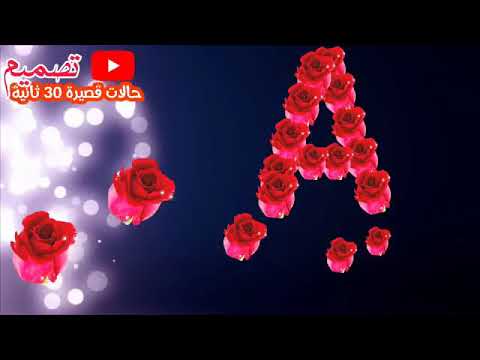 وكل متوحشني بحط ايدي على قلبي علشان عارفك ان انتي جوه قلبي