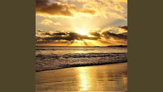 Happiness And Love In New York City