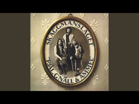 Hins Polka Efter Stig Bergkvist "Far"