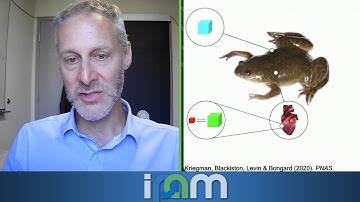 Josh Bongard - Evolutionary computation - IPAM at UCLA