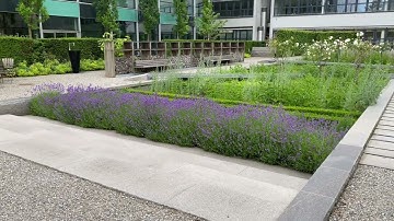 Novartis Physic Garden - Thorbjörn Andersson + Sweco Architects