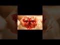 Squeezed &amp; Crushed by Hand ASMR | Oddly Satisfying Crunch &amp; Squish Triggers
