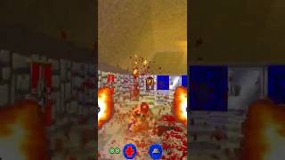 Brutal Wolfenstein is a masterpiece! #fps #gaming #retrogaming