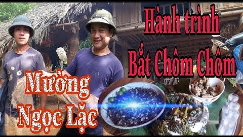HÀNH TRÌNH BẮT CHÔM CHÔM - BÀ CON HÚ MÍ MƯỜNG XỨ THANH