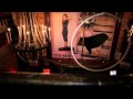 Capture de la vidéo Steve Madden Music Presents: Mr Little Jeans | Summer Series 2014