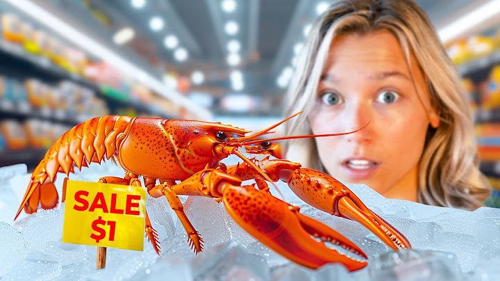 Raising a Grocery Store Lobster as a Pet