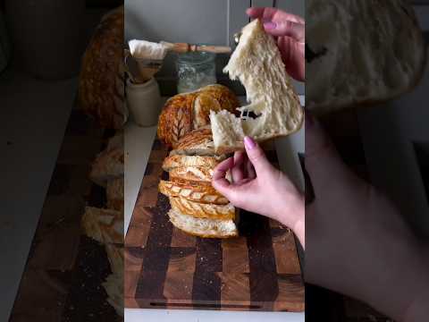 حد يعرف اصل ساوردو