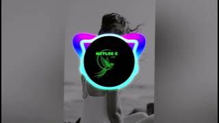 Download lagu Stap Farawe - Sean rii [NATLOK G Reggae Chill Remix] 2024