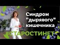 Что такое синдром "дырявого кишечника" / Елена Бахтина