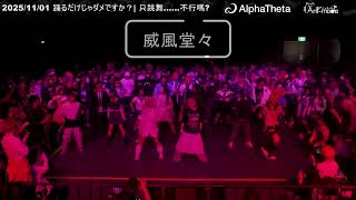 【Anisong random dance】踊るだけじゃだめですか？ 隨機舞蹈 Part1 2025/11/01 #隨機宅舞 #台灣