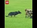 'எப்படி Training கொடுத்து இருக்காங்க பாருங்க'