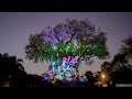 Tree of Life - 50th Anniversary Beacon of Magic Show [4K 2022]