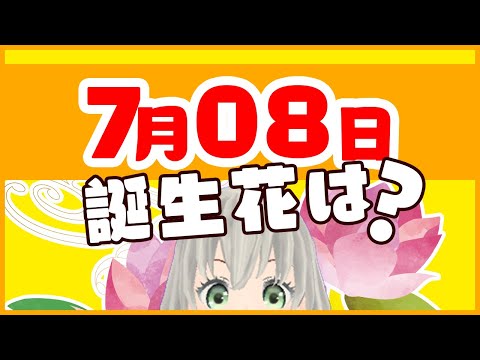 【花言葉】7月8日の誕生花は？／花白もか