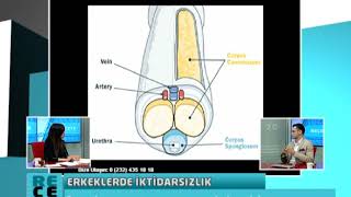 Evren Işık-60