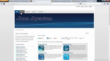 Displaying Twitter Feeds