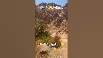 شيئ خيالي😲تلاوة نادرة 🎧😞🩶 عبدالرحمن مسعد#viral #fyp #fypシ゚viral #viralvideo #quran #foryou #new 🎧🩶