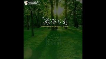 تلاوة ماتعة للقارئ يونس الدوسكي