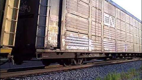 NS 20V (8-3-09)53 car train & fail video while taking pictures