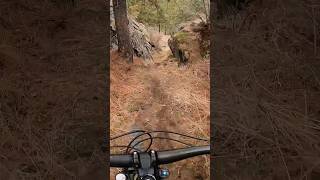 Crashed on Hot Gates trail