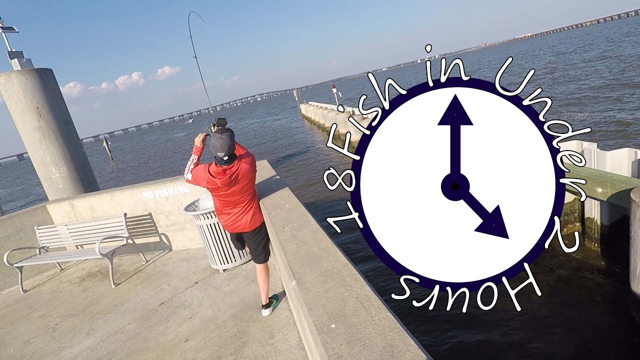 Pier Fishing Mississippi Gulf Coast - YouTube