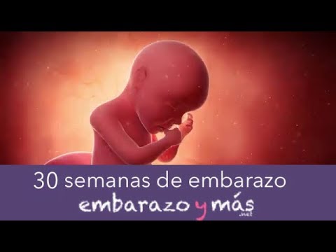 Video: 30 Semanas De Embarazo: Sensaciones, Desarrollo Fetal