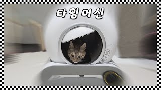 이것은 진정 미래에서 온 고양이 화장실  Kmmmm 고양이 자동 화장실