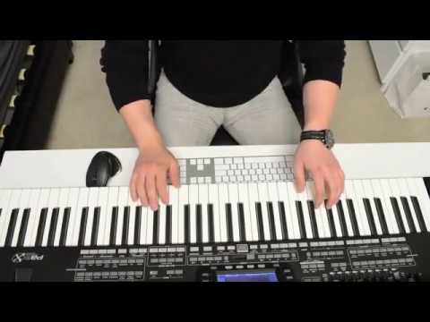 Morteza Pashaei - Jadeye Yektarafe (Instrumental - Live)