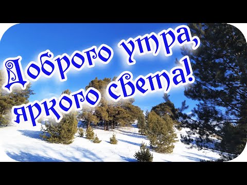 Доброго утра, яркого света! ❤️Удачи побольше, побольше тепла!❤️ Good morning!❤️