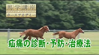 馬学講座ホースアカデミー８　４．疝痛の診断・予防・治療法