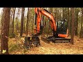DOLLAR GENERAL OWES ME A BIG FAVOR WITH THIS MULCHING JOB! THINNING PINES TO KEEP OUT HOMELESS!