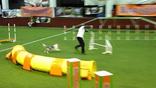 Országos Bajnokság 2018.10.27 Leon op_agility.