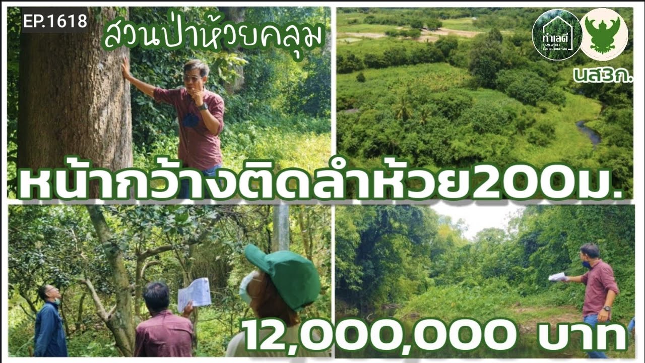 EP.1618 ที่ดินติดลำห้วยกว่า 200 เมตร พร้อมต้นไม้เก่าแก่ และไม้ใหญ่นานาพันธุ์ ต.ป่าหวาย อ.สวนผึ้ง