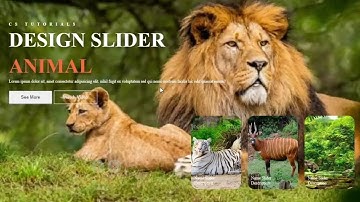 Image Slider Css Crazy Effects using HTML CSS and JavaScript