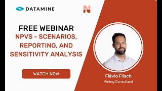 Npvs - Scenarios, Reporting, And Sensitivity Ysis Flavio Flisch Datamine Webinar