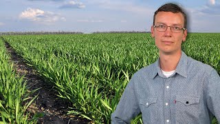 Tarwemarkt Moet Het Nu Waar Gaan Maken