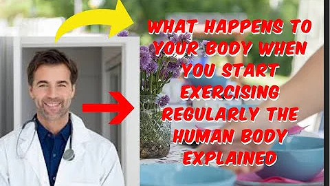 What Happens To Your Body When You Start Exercising Regularly  The Human Body Explained