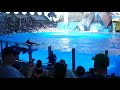 SeaWorld Orlando Spekkhogger Show