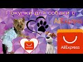 Покупки для собаки с AliExpress