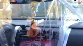 Taxi Isolation Film, Plastic Anti-Fog Full Surround Protective