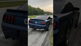 Mustangs Drivers Being Mustang Drivers