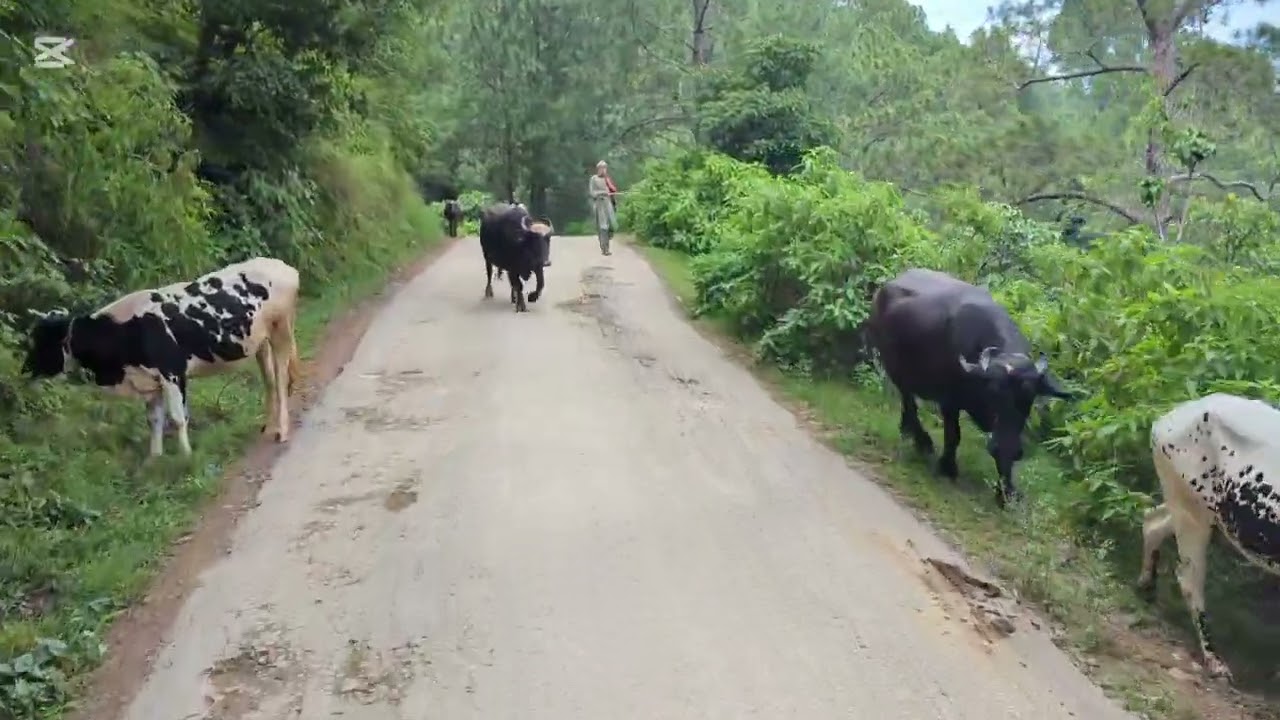 Rajoor to Choch Sehnsa Kotli Azad Kashmir 