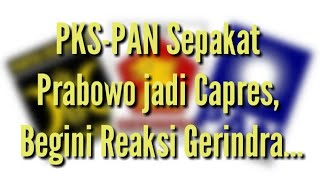 PKS-PAN Sepakat Prabowo jadi Capres, Begini Reaksi Gerindra