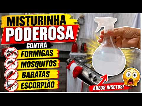 🚨🦂 Acabe Com Formigas Mosquitos Baratas e ate Escorpião 😳